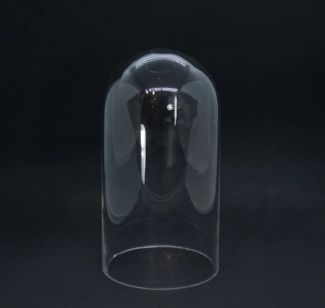 Cúpula de Cristal - Campana de Cristal, 19 Siglo, 21CM (#14060)