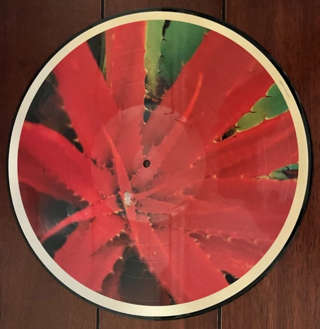 Jejune This Afternoons Malady emo CD エモ jejune this afternoons