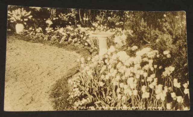 Vtg Rppc Postcard Holland Michigan Tulip Time Ottawa Allegan County Mich Unused