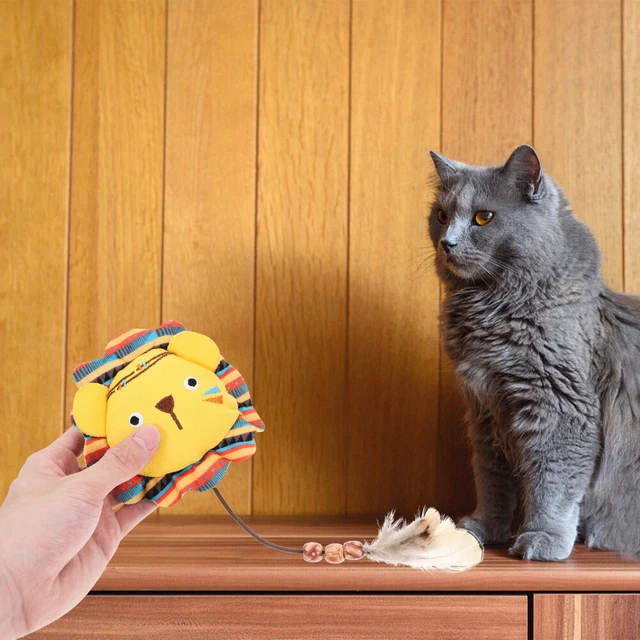 JOUET INTERACTIF POUR chat dessin animé modélisation chat jouet à mâcher chaton EUR 6,58