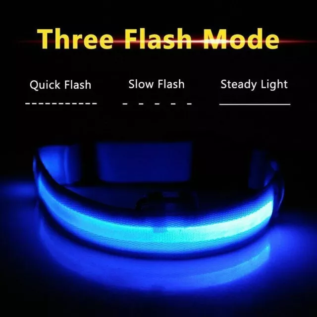 USB Rechargeable LED Pet Dog Collar Flashing Luminous Safety Night Light Up UK 3