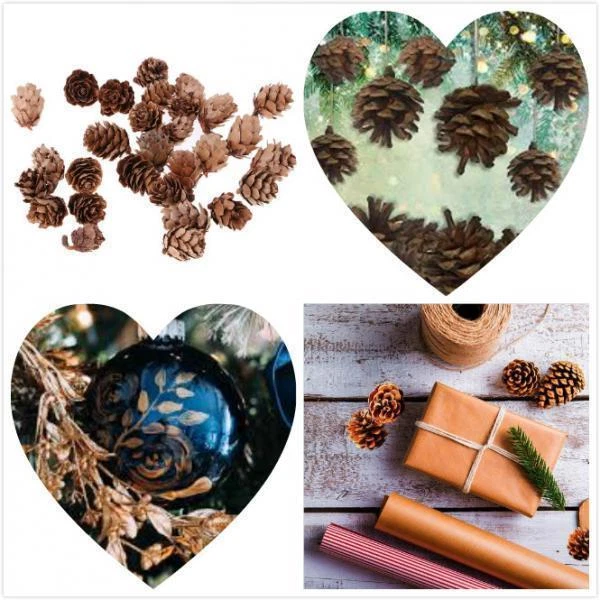 60 Pezzi Pigna Pineal Nuts Decorazioni Per Feste Ornamenti Vaso Riempitivi