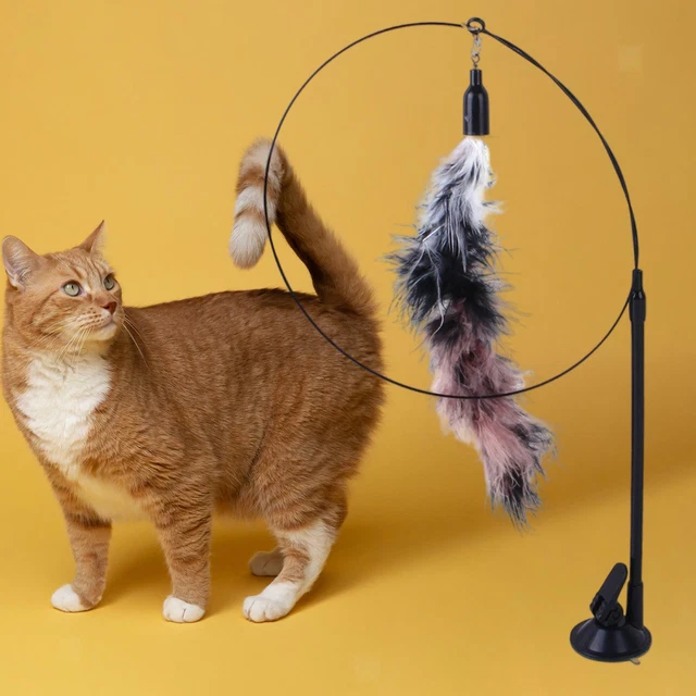 3x Jouets Interactifs En Plumes de Bâton de Chat Longue Tige avec Jouet 3