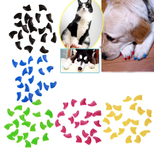 100 Pcs Cat Nail Caps Claw Dog Protector Pet Tips Claws Covers