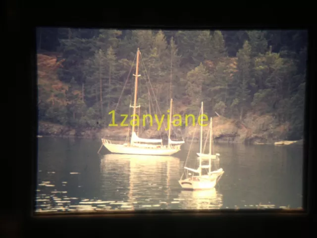 3T09 VINTAGE Photo 35mm Slide TWO SAILBOATS SAILS DOWN ON WATER EVERGREEN TREES