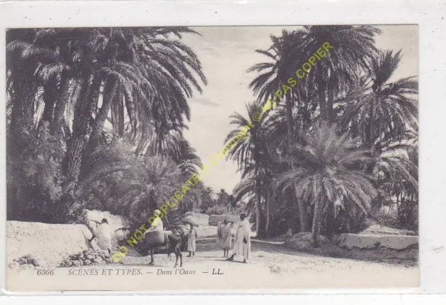 CPA Morocco Scenes & Types IN L'Oasisi Edit Ll