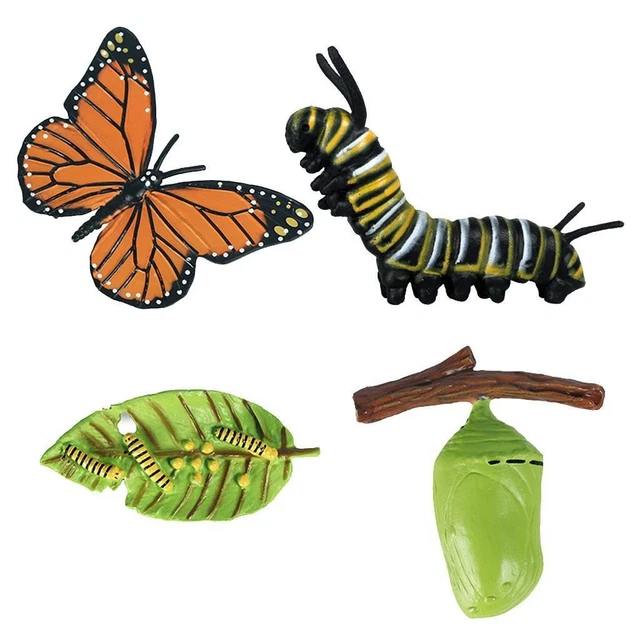 FIGURE LIFE Cycle Educational Cognitive Toy Site E £8.48 - PicClick UK
