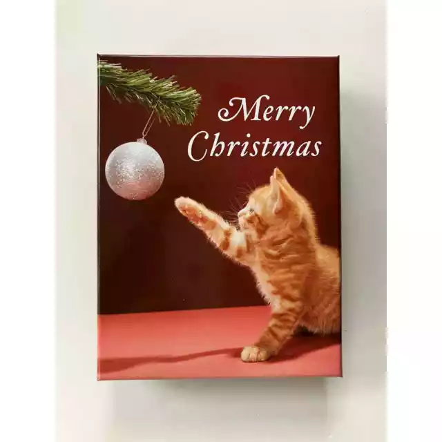 Christmas Cards Boxed New Kitten Kitty Ornament Galison Cards