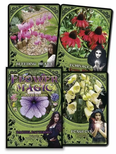Fleur Magic Oracle Cartes SOLARUS Cartes And Guidebook Lot Rachel Patterson Neuf 3