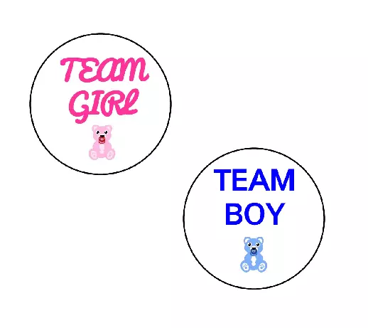 30 Gender Reveal Party Stickers Baby Shower "TEAM BOY TEAM GIRL" pink and blue