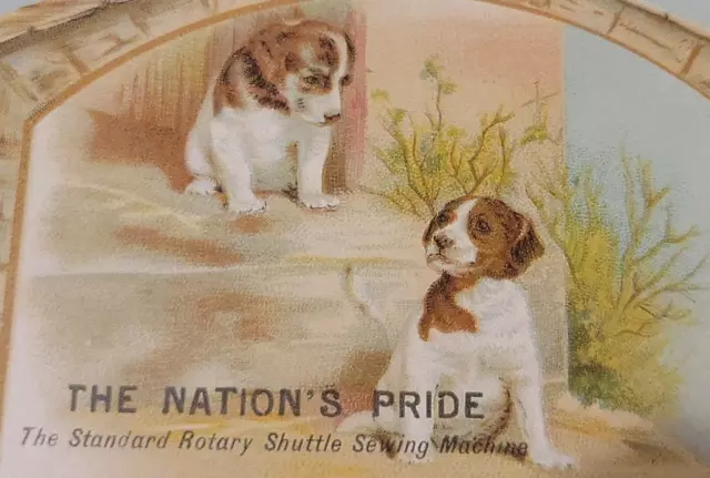 STANDARD ROTARY SHUTTLE SEWING MACHINE CLEVELAND,O,U.S.A. TRADE CARD Puppies