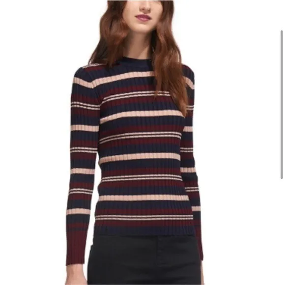 Whistles Multi-Stripe Sweater in Rib Knit