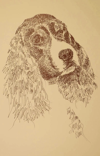 English Springer Spaniel - Rainbow Bridge Personalized Kline dog art lithograph.