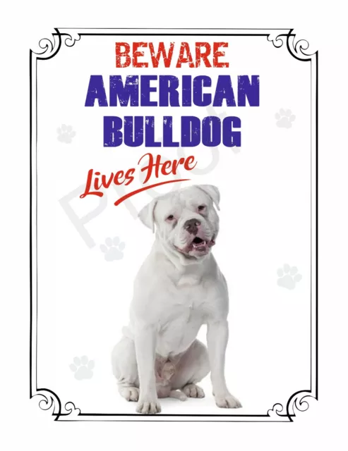 BEWARE AMERICAN BULLDOG LIVES HERE  #sD35 SIGN 8 x 6" DOG METAL WARNING 