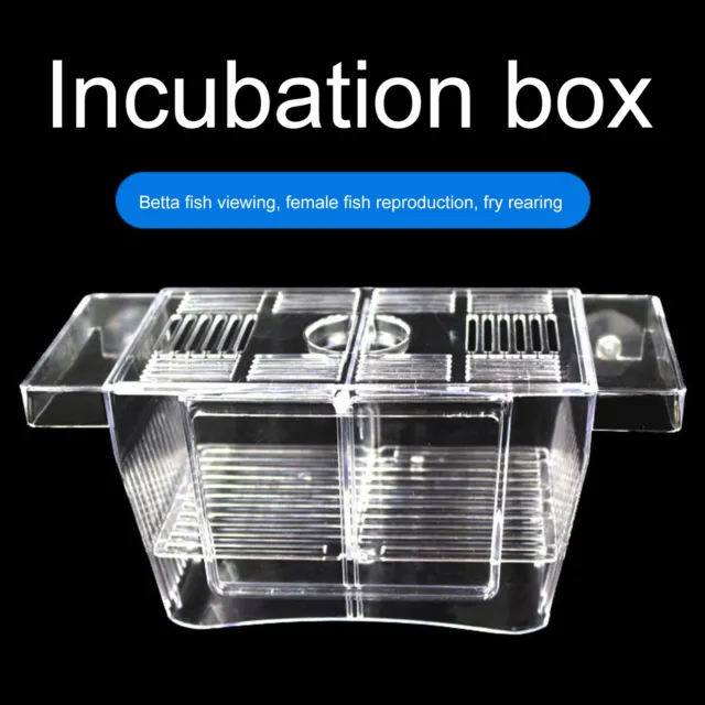 Fish Tank Breeding Isolation Box Aquarium Acrylic Incubator Breeder Incubator