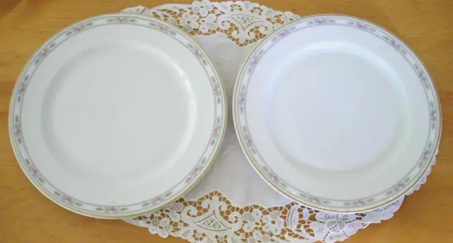 Vintage Syracuse China O.P.CO ORLEANS 1919  8 3/4" Plates ~ Set of 2 ~