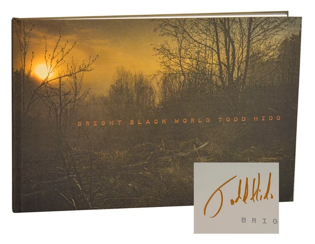 TODD HIDO, ALEXANDER Nemerov / BRIGHT BLACK WORLD Signed First