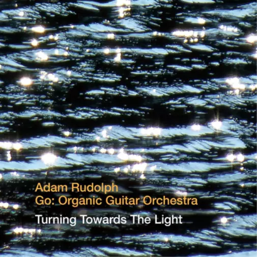 Adam Rudolph/Go: Organic Guitar Orchestra Turning Towards the Light (CD) Album