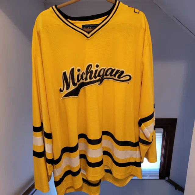 Vintage Steve and barrys Michigan University hockey jersey XXL