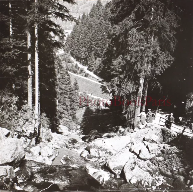 Deutschland Triberg Cascade c1920 Foto Platte De Verre Stereo Vintage P30L8n18