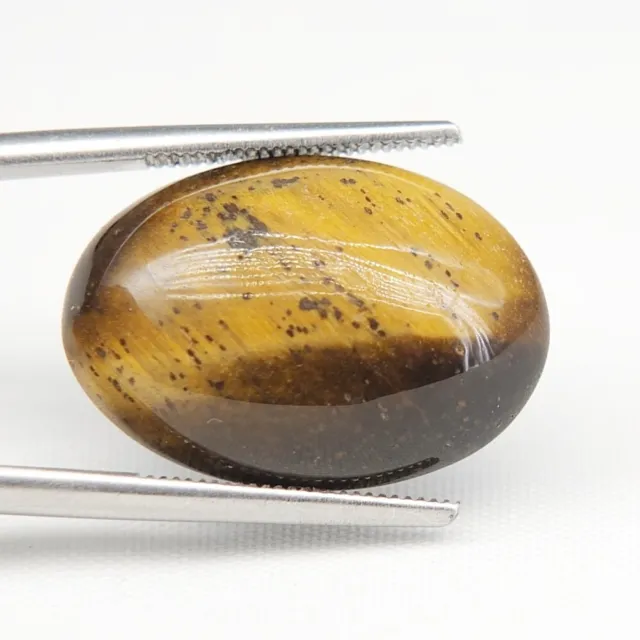 Shola Vrai 12,51 Carats Naturelle Braun Oeil de Tigre En Indien