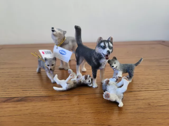 Schleich Husky Dog Family Male 16371 Puppies 16373 16374 RARE Inc Papo Wolfs