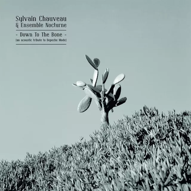 Sylvain & Ensemble Nocturne Chauveau - Down To The Bone (Tribute  Cd Neu