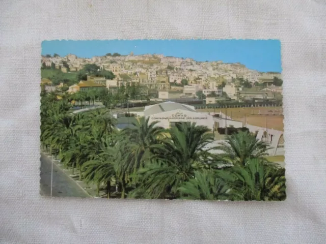 Cpsm Afrique Maroc Tanger Avenue D'espagne