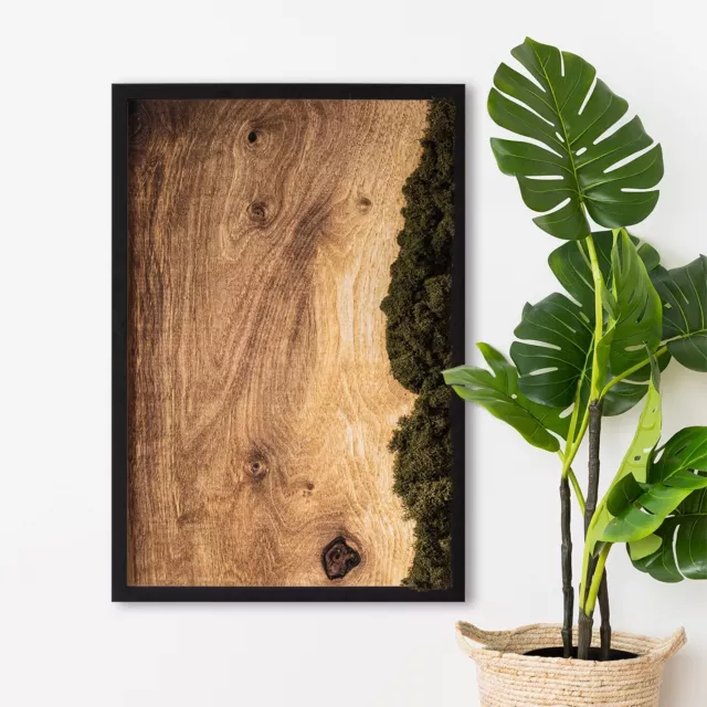 Decorazione da Parete Arte Muschio Cornice MDF nero 40x60 cm Tavola di quercia