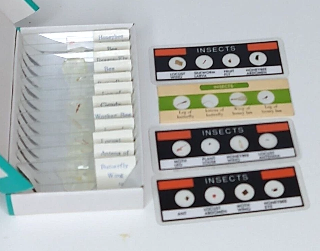 Set of 16 Prepared Microscope Slides Insect Specimen Kids 12 Glass, 4 Plastic