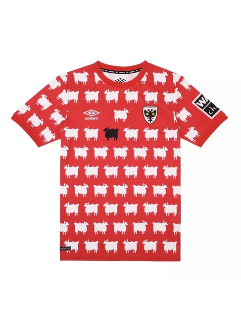 A Ground-breaking Read! - AFC Wimbledon