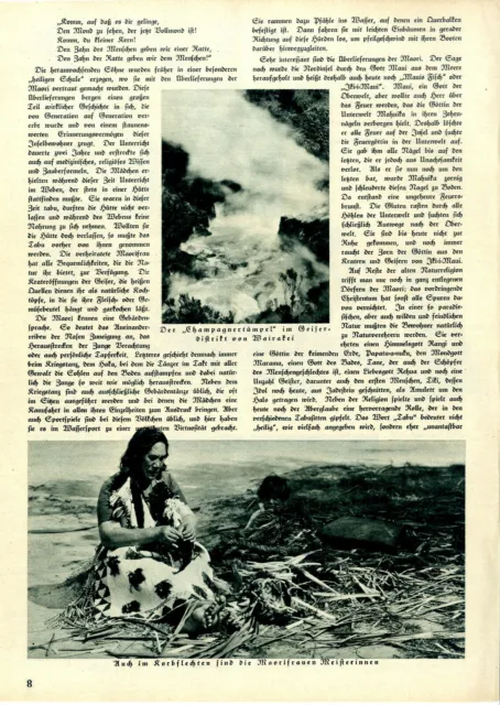 Walter Boje Die Maorie Ein Kulturvolk in der Südsee Tatauieren e. Maorifrau 1932 3