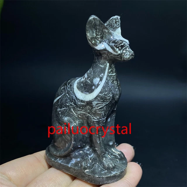 1pcs Natural Black zebra Hairless cat Quartz Crystal Skull Carved Figurines 3"