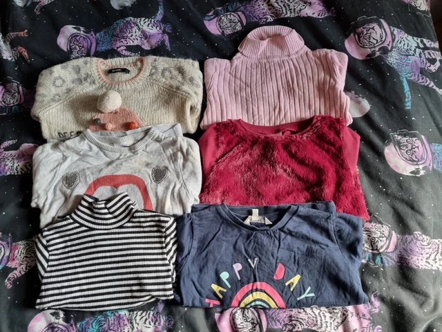 Girls Clothing Bundle Job Lot Jumpers Size 3-4 Years Evie George Primark etc