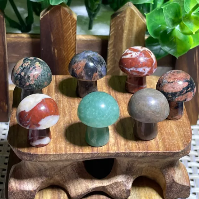 7pcs  Natural mushroom various Quartz Crystal Carved Reiki healing decor A1598