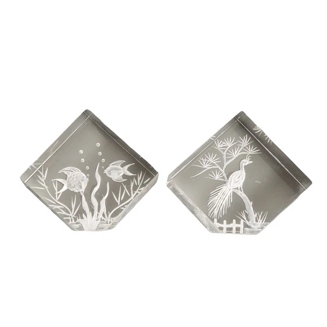 Clear Acrylic Etched Decor Display Fish Peacock Nature Image Set 2.5" Taiwan