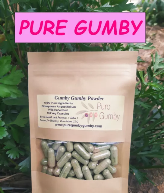 100 veg caps WILD HARVESTED ORGANICALLY GROWN GUMBY GUMBI ONE packet