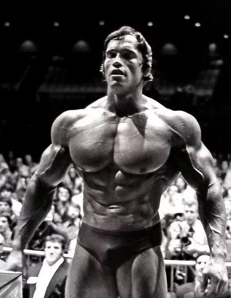 68-YO Former Mr. Olympia Legend Schools Arnold Schwarzenegger's Son to Pose  Like His GOAT Father - EssentiallySports