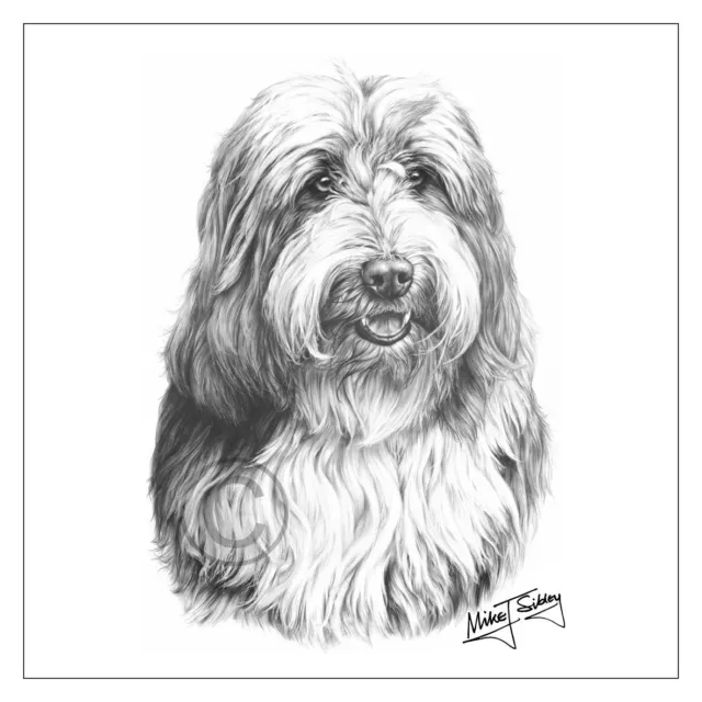 Mike Sibley Bearded Collie dog breed greeting card happy birthday thank you mum