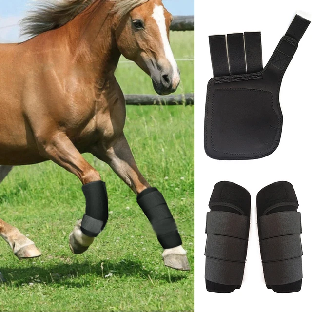 Horse Medicine Brushing Boots Leg Wrap Protection Set of 2 and 4 Sports Cob/Full