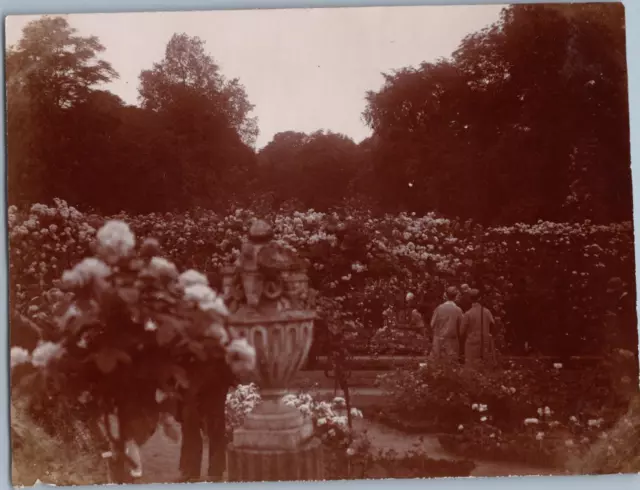 France, Haÿ-les-Roses, la roseraie Vintage albumen print Tirage albuminé  8,