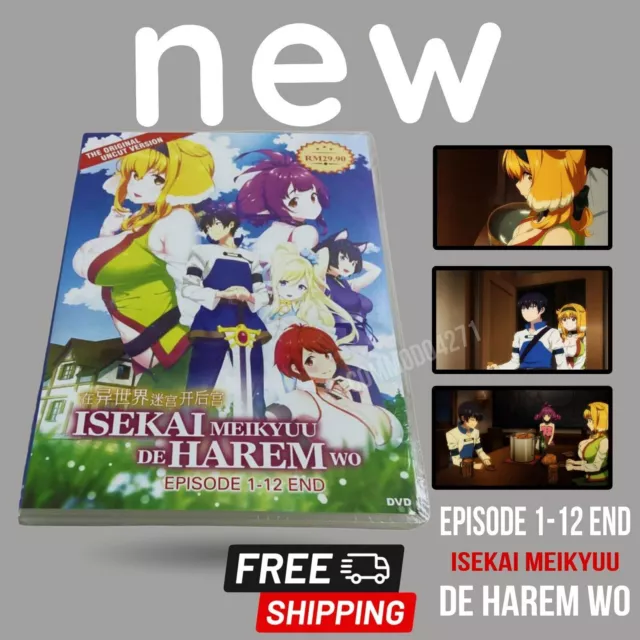 Harem in the Labyrinth of Another World (VOL.1 - 12 End) ~ All Region  ~Anime DVD