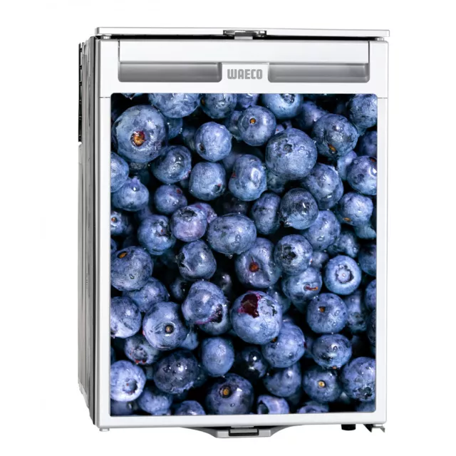 Waeco Camper van Fridge Wrap Stickers Printed Graphics Bubble Free Berries Fruit