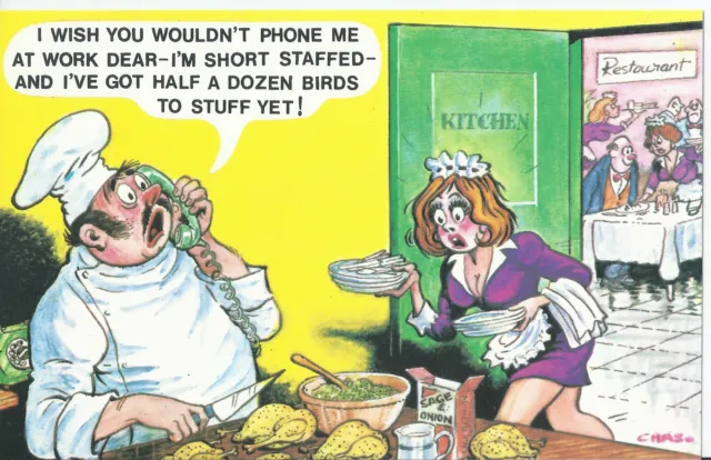 Vintage 1970's Bamforth COMIC Postcard (new old stock) Birds to stuff #508