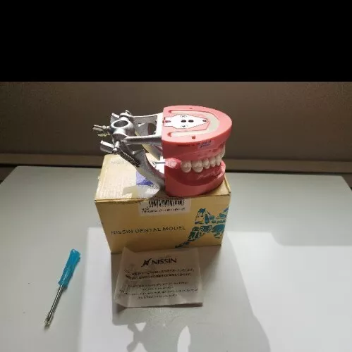 Nissin Kilgore Dental Study Model 400G with Box