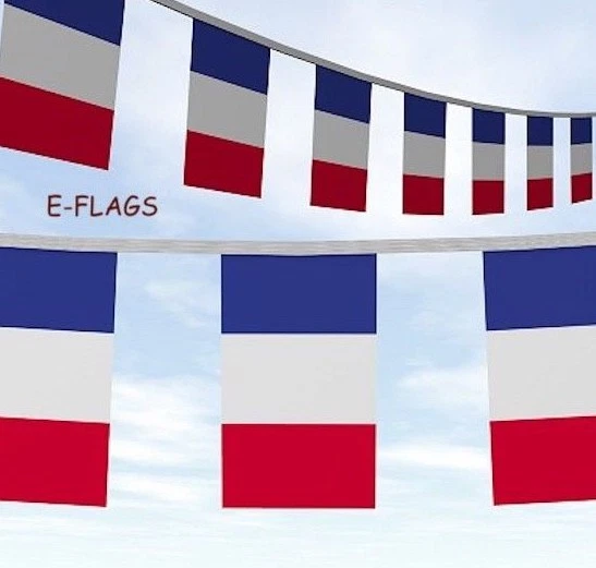 10 METRE'S 20 Flags France French Euro 2025 Party Bunting Banner 6.27