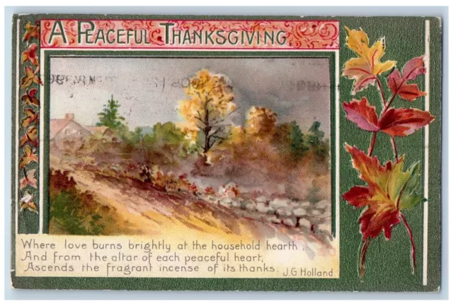 Albany Wisconsin WI Postcard Thanksgiving J G Holland Embossed Winsch Back 1909