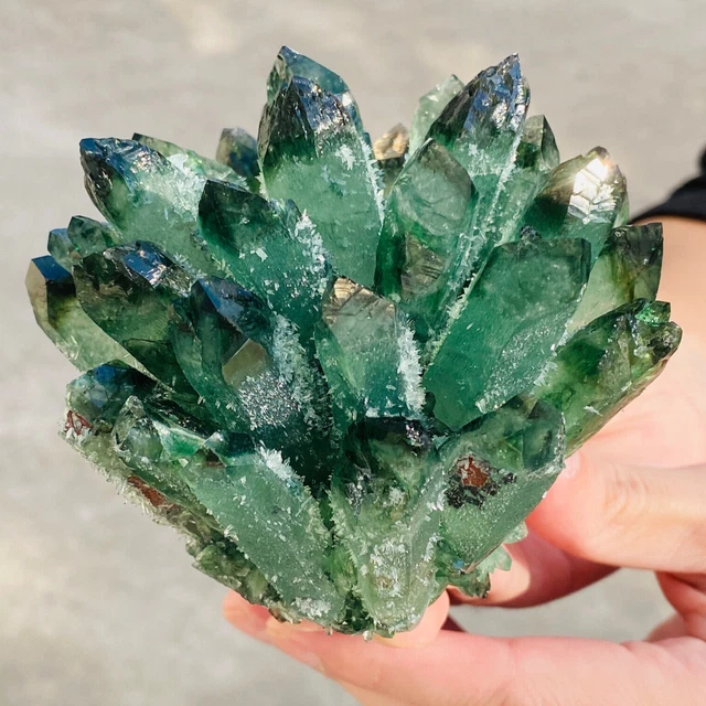 545G New Find green Phantom Quartz Crystal Cluster Mineral Specimen Healing.