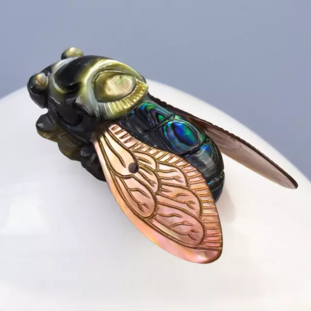 Cicada Design Carved Multicolor Mother-of-Pearl Paua Abalone Shell 8.00g Drilled