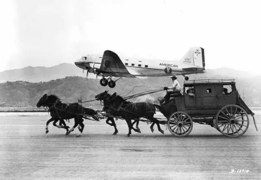 Antique Horse Race Photo 9b Odd Strange & Bizarre